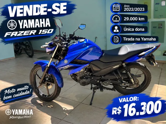 Fazer 150 flex