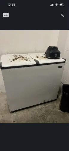 Freezer 
