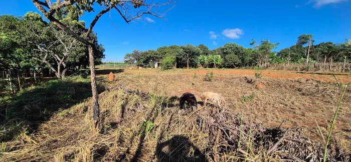 Sítio no Colonial Park - Monte Alto