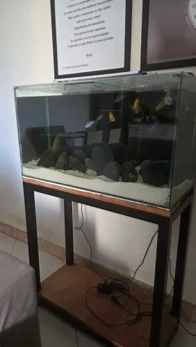 Aquario com móvel