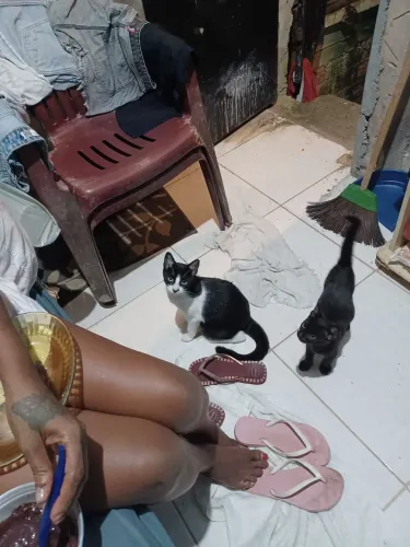 Doa-se gata