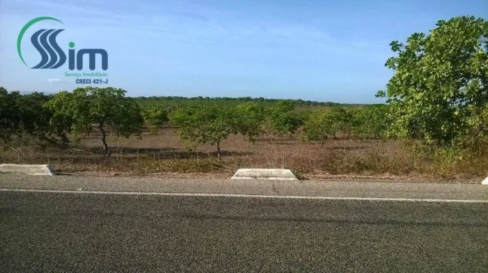 Terreno à venda, 98.000 m² por R$ 350.000 - Curimatã - Pacajús/CE