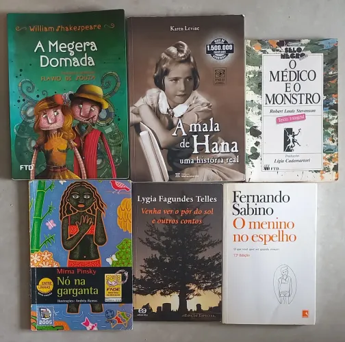 Kit livros paradidáticos