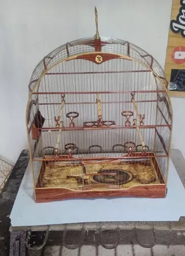 Gaiola de luxo