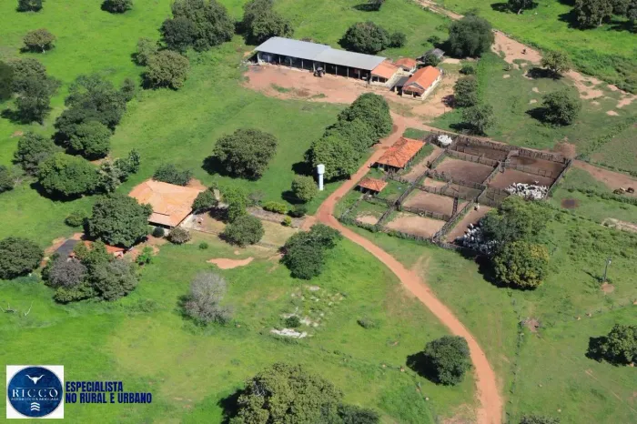 Fazenda de 575 Alqueires à Venda em Uirapuru  GO | Pecuária Estruturada