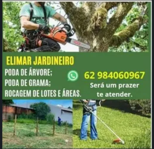 Serviço de jardinagem especialista em poda de árvores palmeira coqueiro etc..