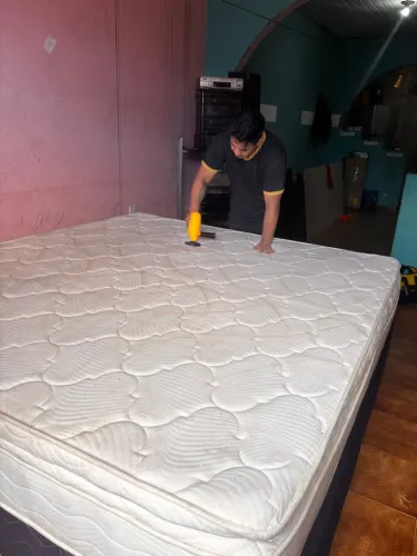 Fiquem sem ácaros no seu colchão removemos tudo
