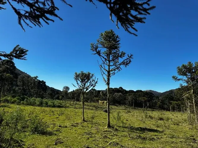 Chácara de dois hectares em Urubici Serra Catarinense