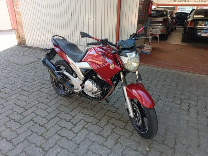 YAMAHA YS 250 FAZER/ FAZER L. EDITION /BLUEFLEX 2012 Flex