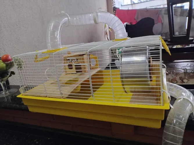 Gaiola grande para hamster 63x43x38