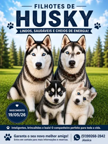 Filhotes de Husky Siberiano
