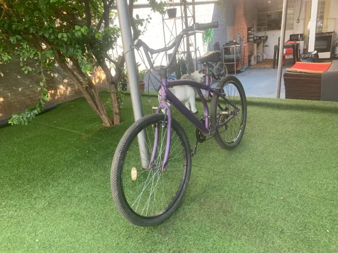 Bike aro 26 