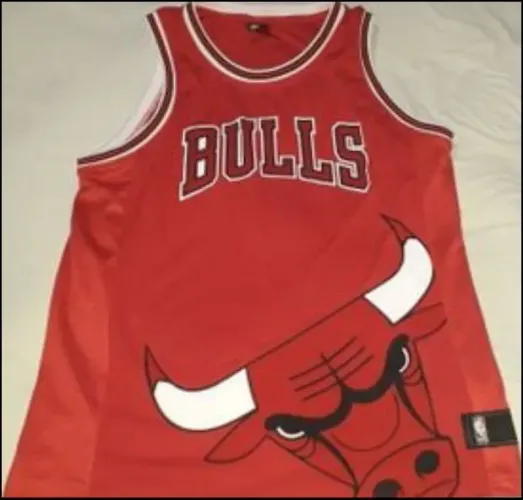 Camisa Chicago Bulls - Basquete NBA
