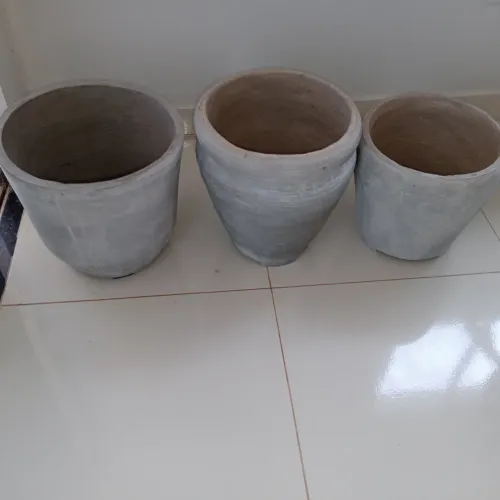 Vasos de plantas