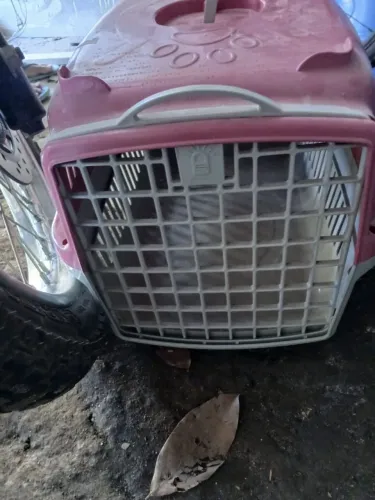 Casinha de cachorro