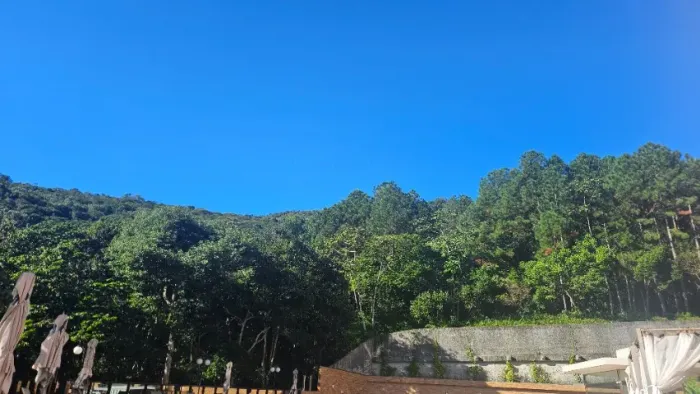 Empregada doméstica
