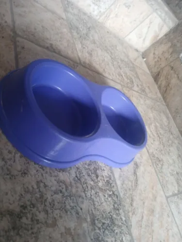 Mini pote de ração para gatos