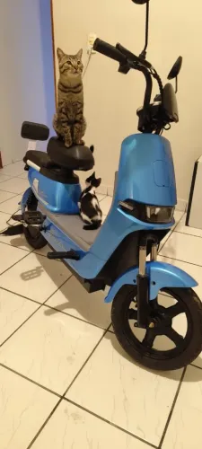 Baik eletrônica