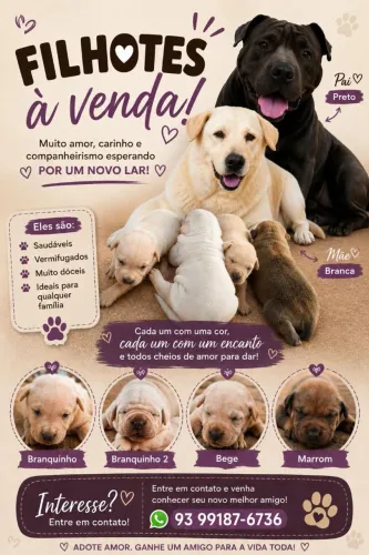 Filhotes a Venda