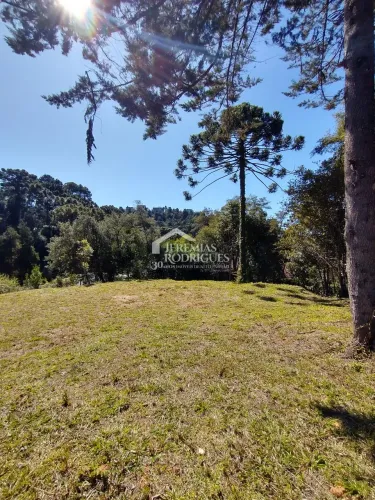 Terreno, 1.000 m², à venda - Condomínio Jardim Véu da Noiva - Campos do Jordão/SP
