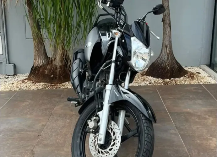 Yamaha factor 2024