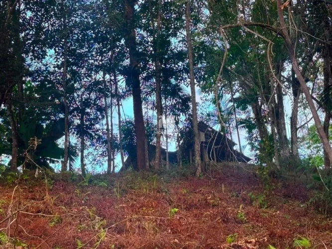 Amplo Terreno com 6.454 m² e Passagem de Água nos Fundos