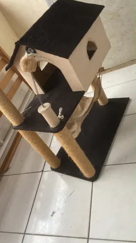 Casinha/arranhador para gatos