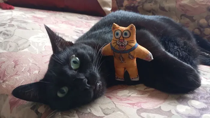 Gatinha preta, dócil pra doação castrada 