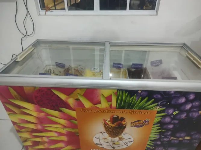 Freezer para sorvete 411 litros 