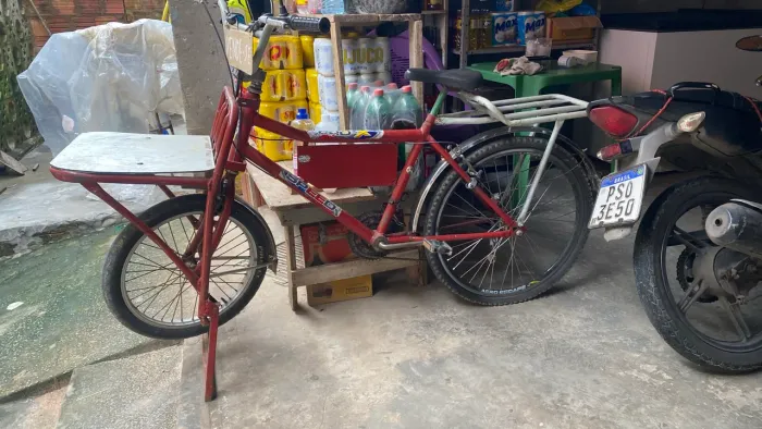 Bicicleta Cargueira 