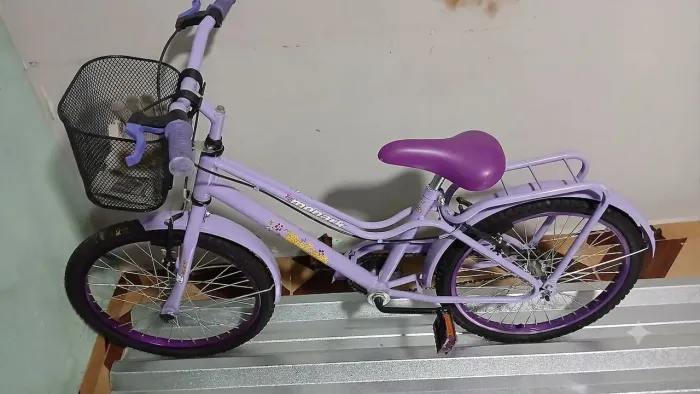 Bicicleta lilás 