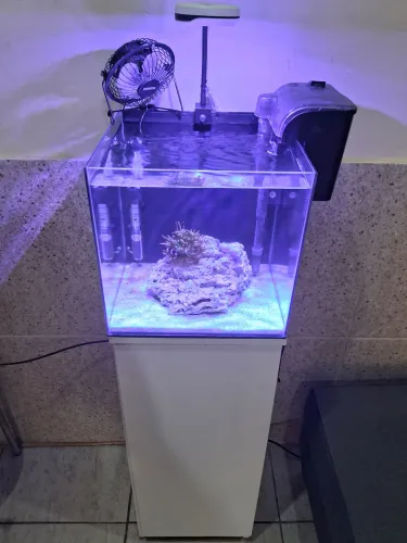 Vendo aquário marinho com móvel, vidro extra clear, lapidado, completo