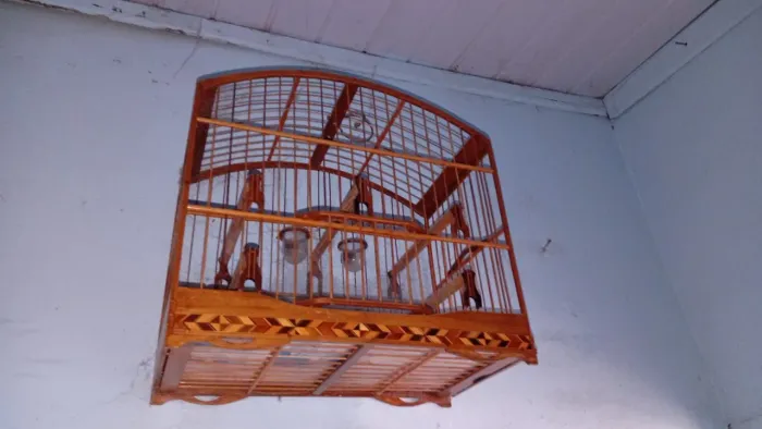 Gaiola de passeio R$200,00