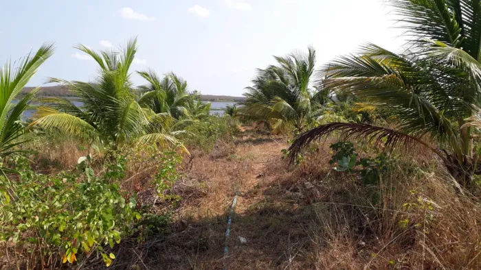 Terreno em São Luiz do Curu - proximo ao Véu das Noivas