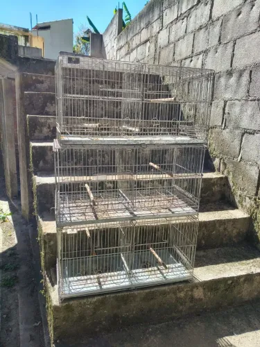 Gaiolas Aramil de 6 comedouros para canarios