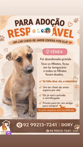 Adoção responsável 