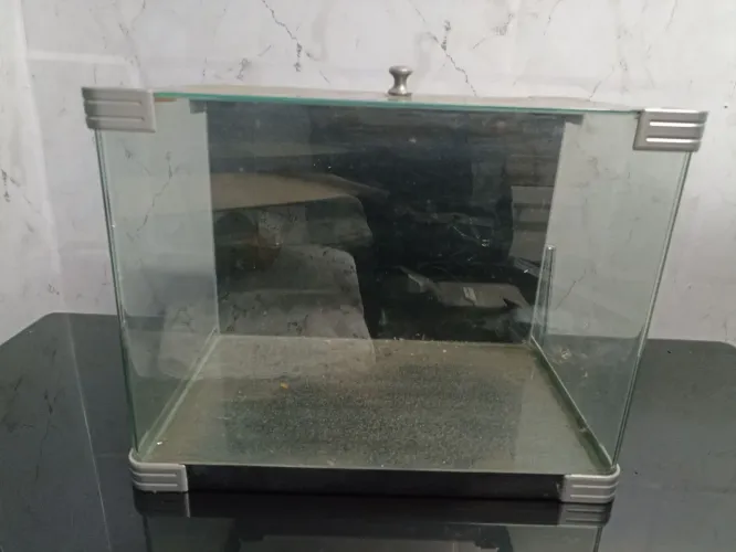 Aquário 33 litros 