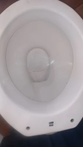 VASO SANITÁRIO HERVY APENAS  $ 70