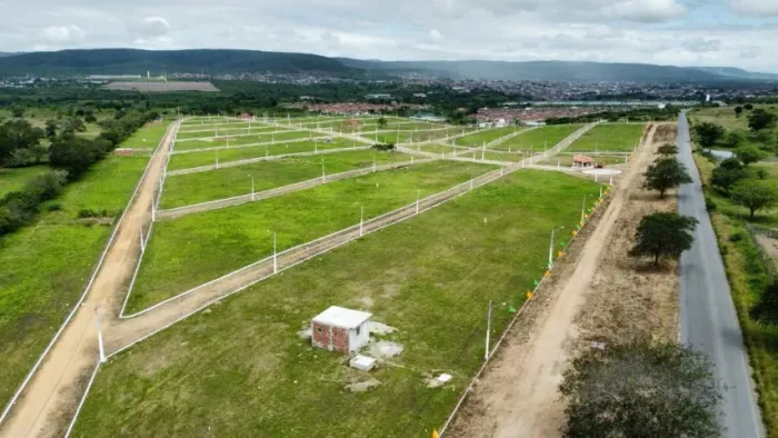 REPASSE DE LOTE EM BEZERROS. contato 81- *