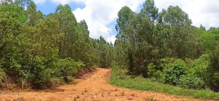Fazendinhas em Matozinhos com Natureza exuberante!!