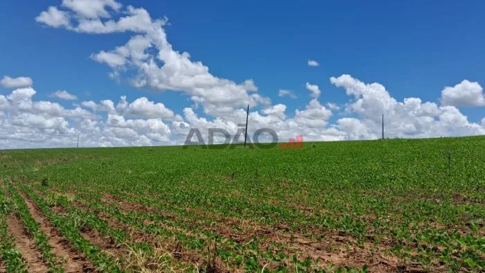 Fazenda ou Sítio Silvânia Goiás com tanque de peixe e plantação soja