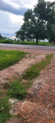 ITAPECURU-MA: Chácara a venda com cerca de 3 hectares na beira da BR 135