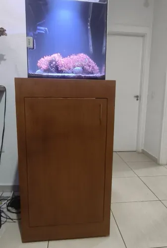 Aquário Marinho