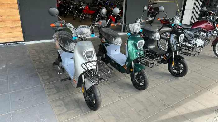 Moto elétrica 1.000w 