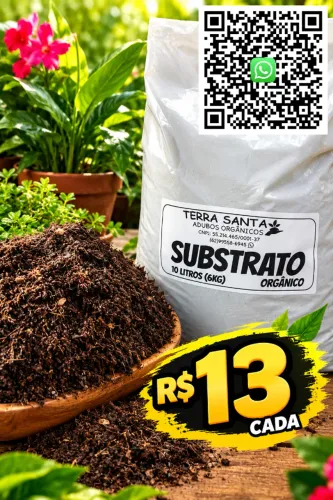 SUBSTRATO PARA PLANTAS