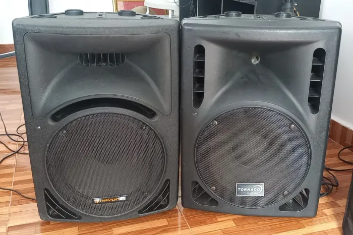 Vendo par de caixa ativa