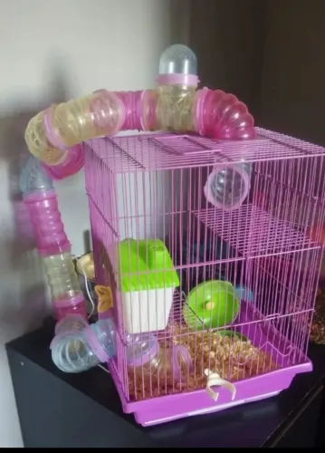 Casinha de hamster 