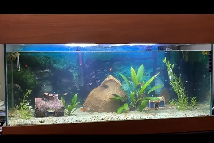 Aquario 360 l com filtro Canister JBL
