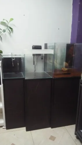 Aquário 64 litros + móvel sob medidas