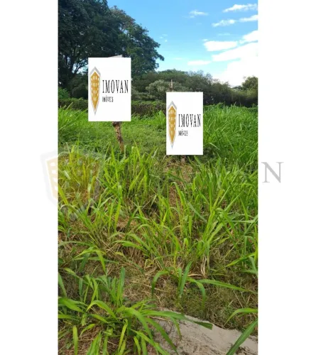Terreno Padrão em Ribeirão Preto